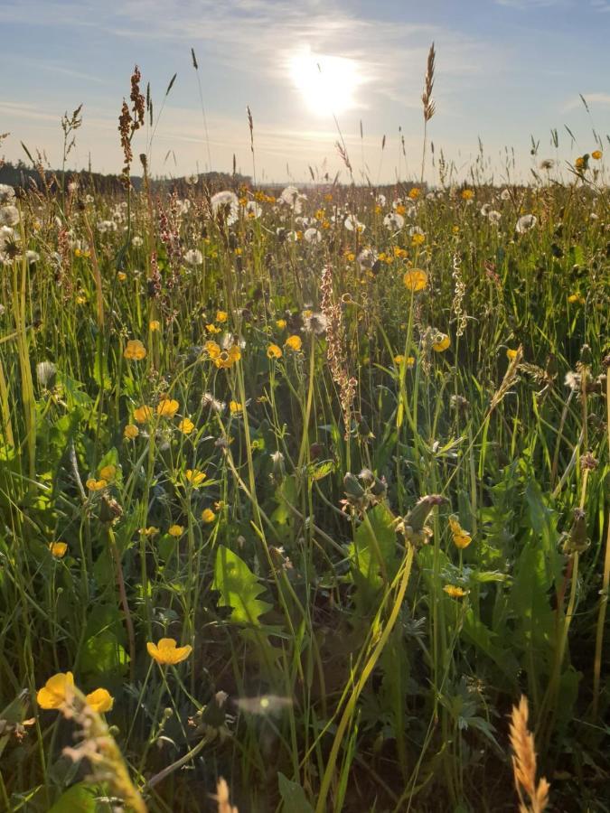 Ferienwohnung Rupp Argenbuhl Exteriér fotografie