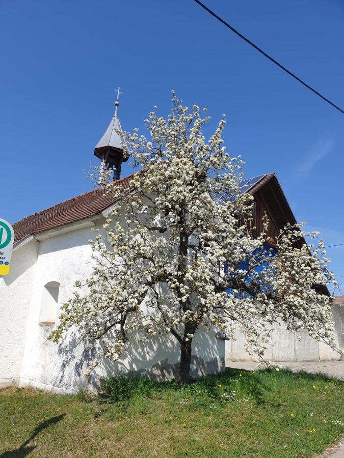 Ferienwohnung Rupp Argenbuhl Exteriér fotografie