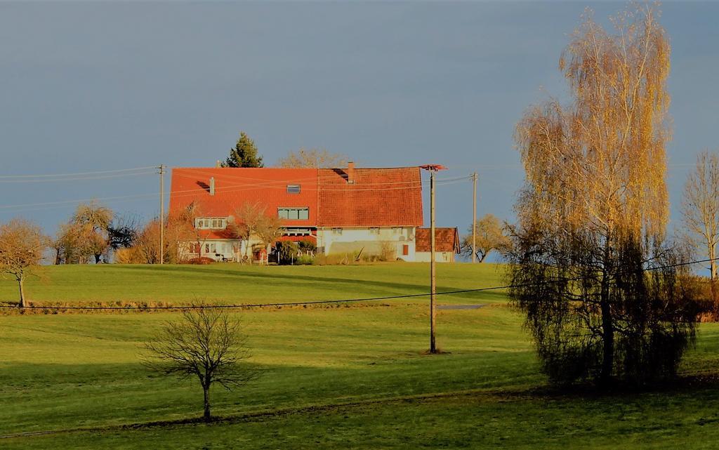 Ferienwohnung Rupp Argenbuhl Exteriér fotografie