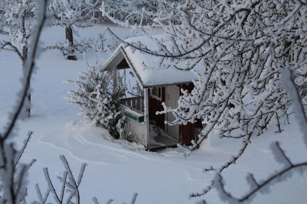 Ferienwohnung Rupp Argenbuhl Exteriér fotografie
